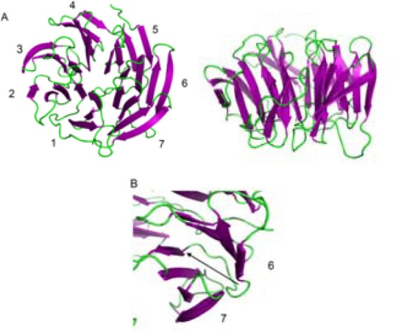 Fig. 3