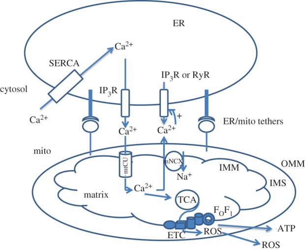 Figure 1.