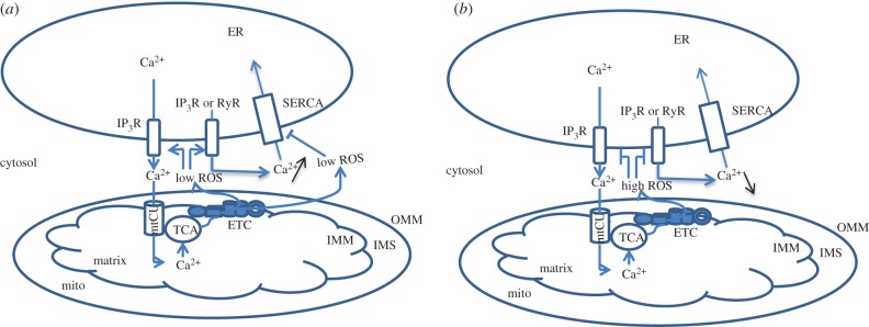 Figure 5.