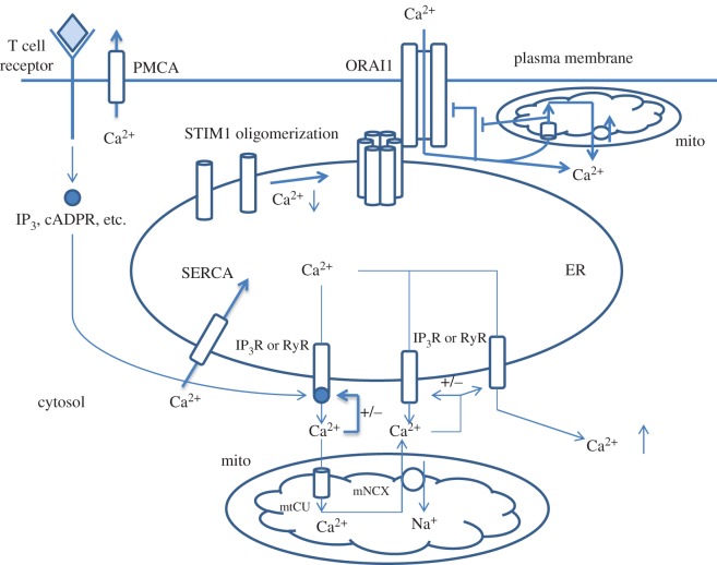 Figure 3.