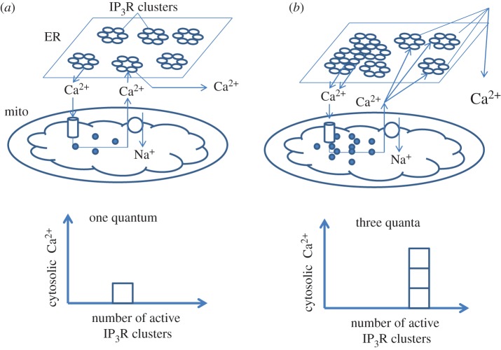 Figure 7.