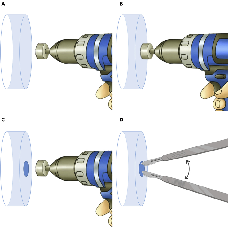 Figure 2