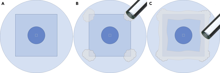 Figure 3