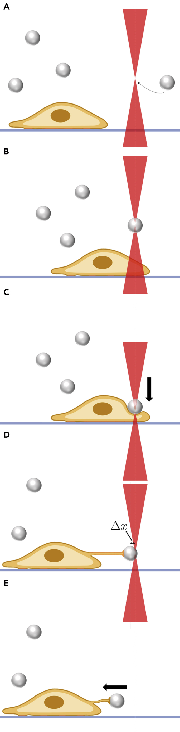 Figure 12