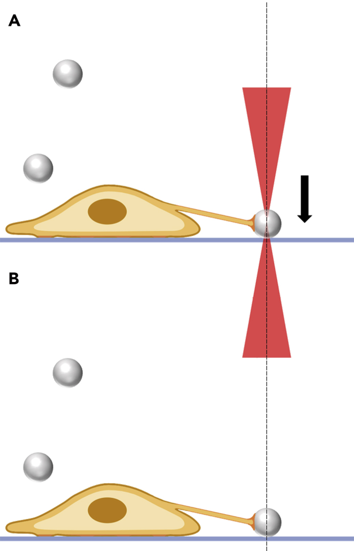 Figure 26