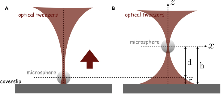 Figure 6