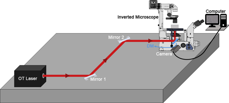 Figure 5