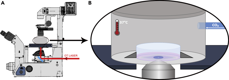 Figure 10