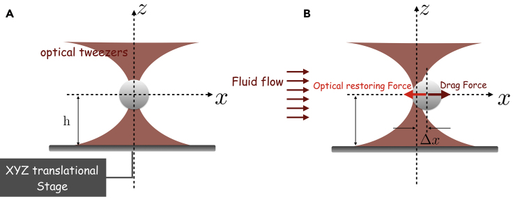 Figure 7