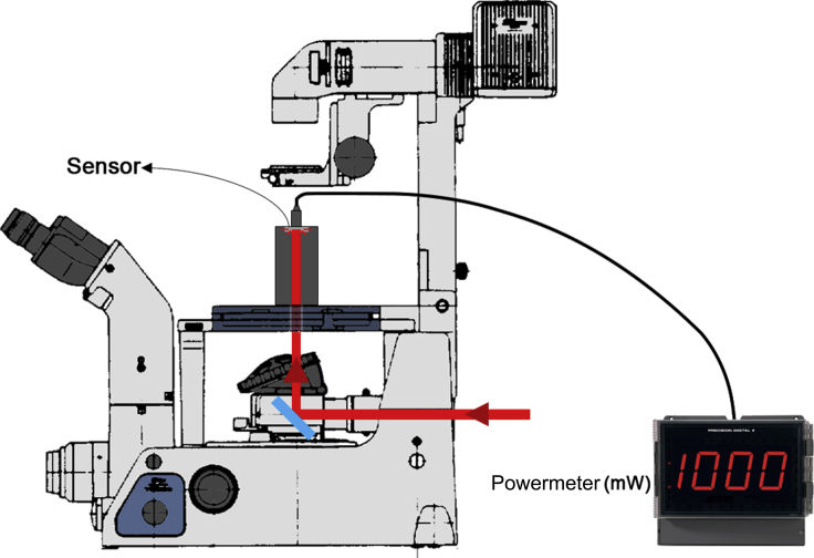 Figure 11