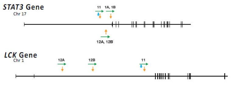 Figure 9