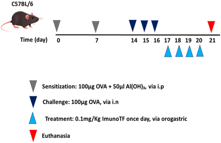 Figure 1