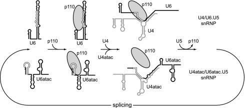 FIG. 5.