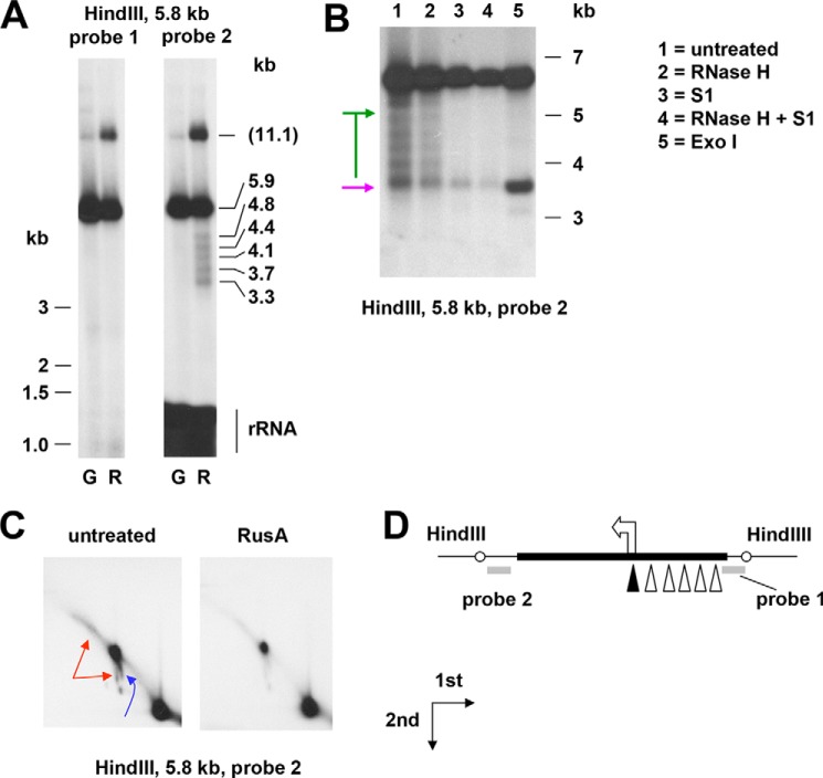 Figure 6.