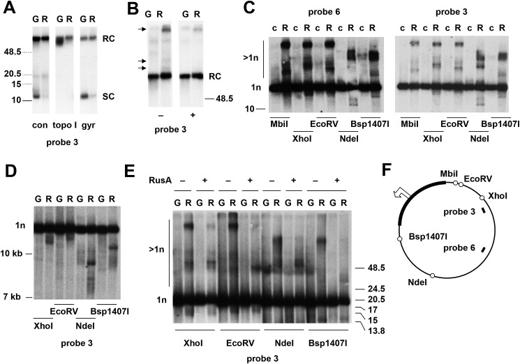 Figure 5.