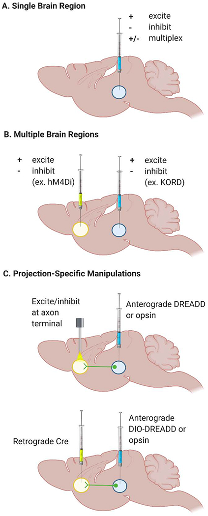 Figure 2.