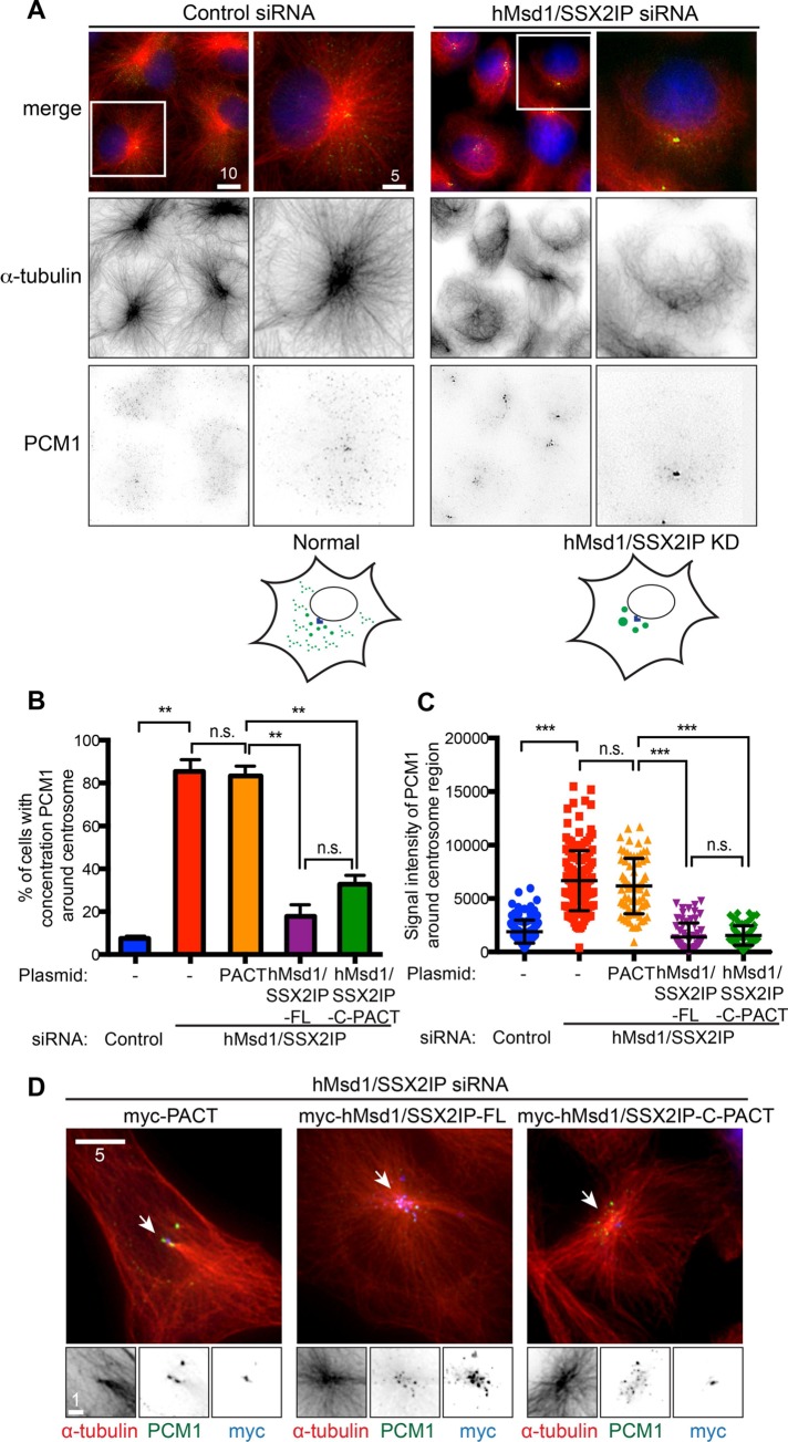 FIGURE 1: