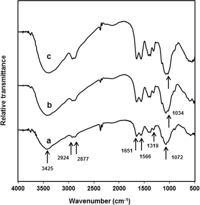 Fig. 3