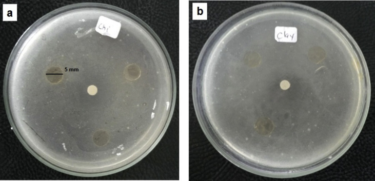 Fig. 13