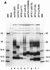 FIG. 5.