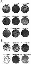 FIG. 4.