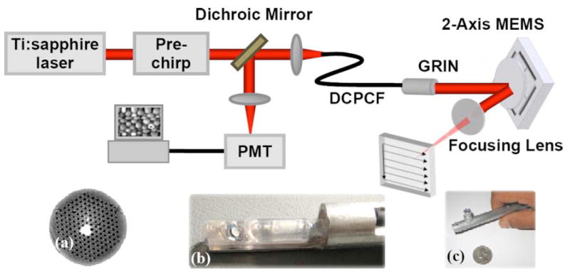 Fig. 7