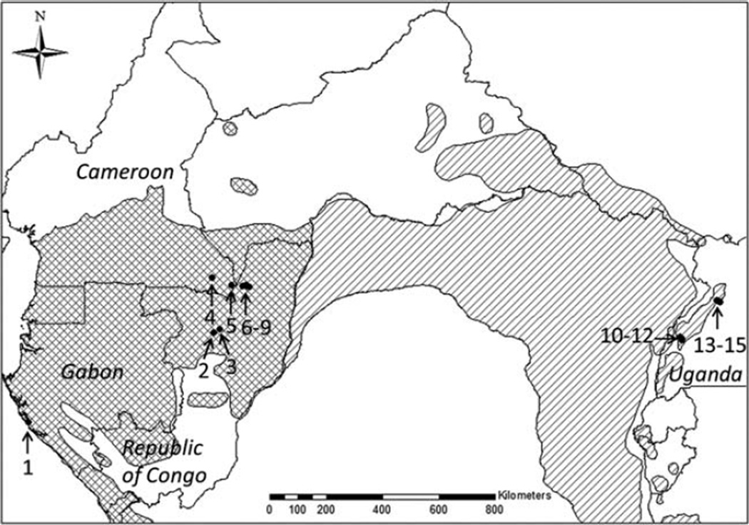 Fig. 2