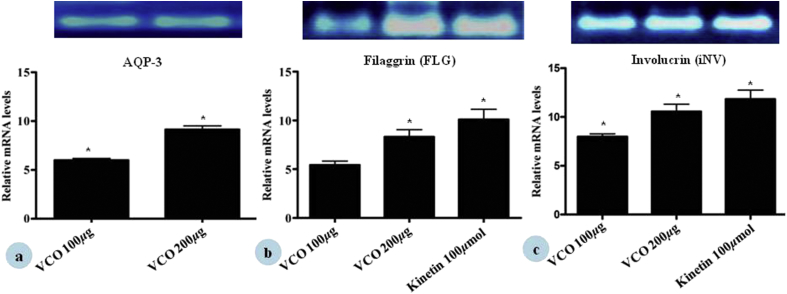 Fig. 7