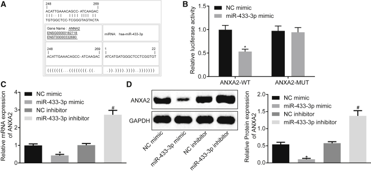 Figure 5