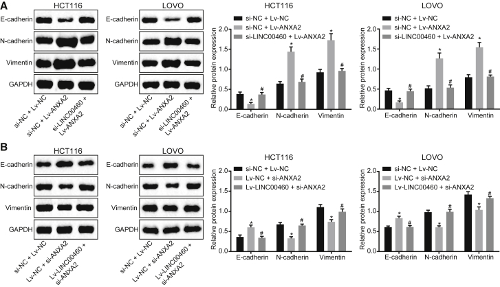 Figure 6