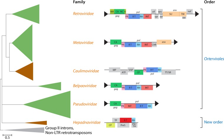 FIG 6