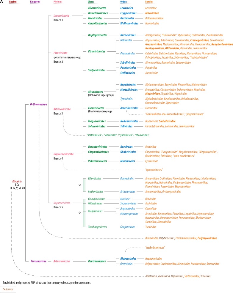 FIG 11