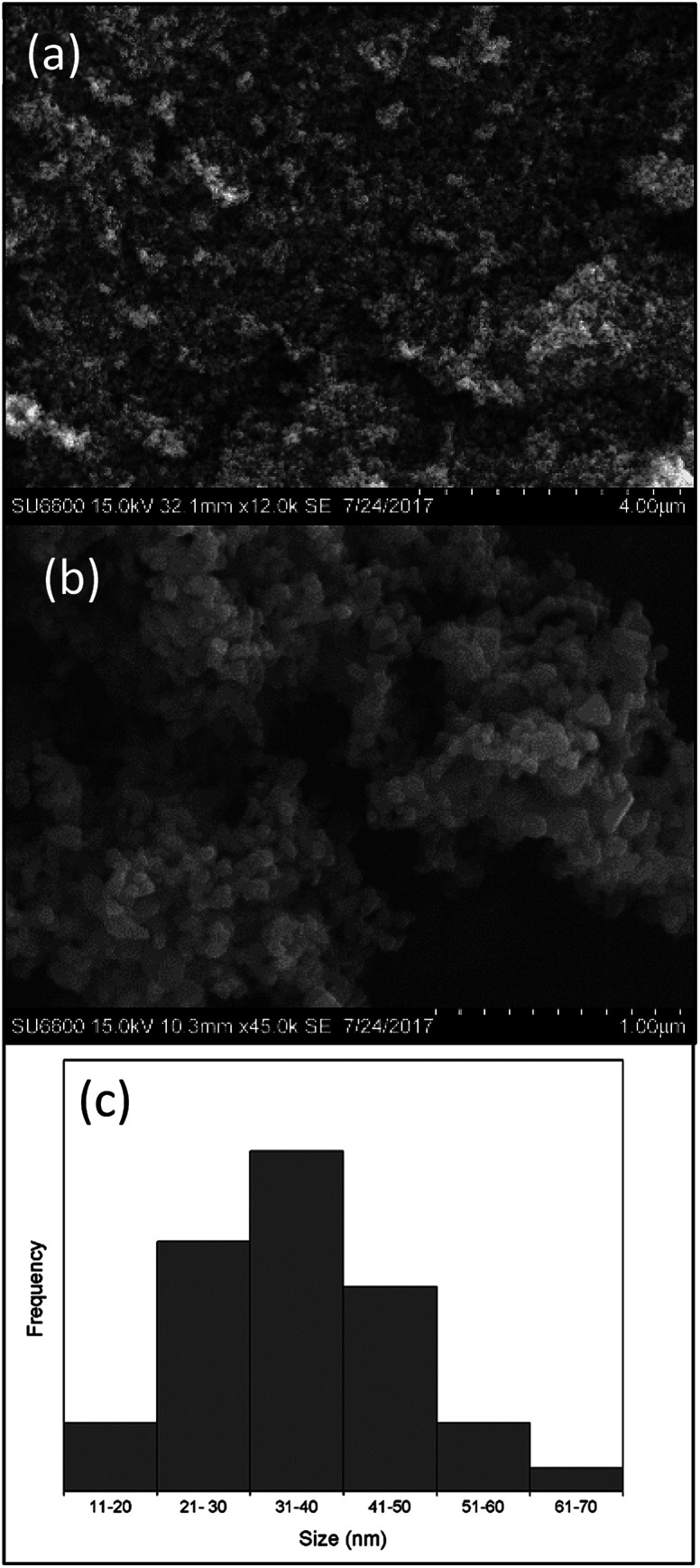 Fig. 5