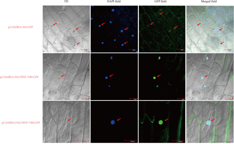 Figure 10