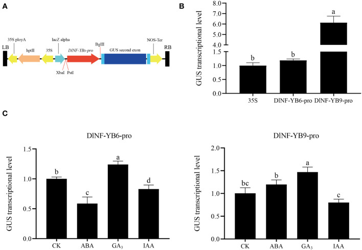 Figure 12