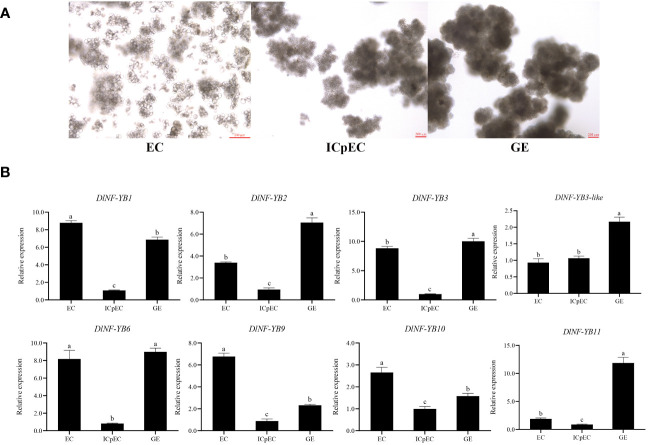 Figure 6