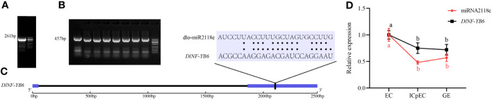 Figure 11