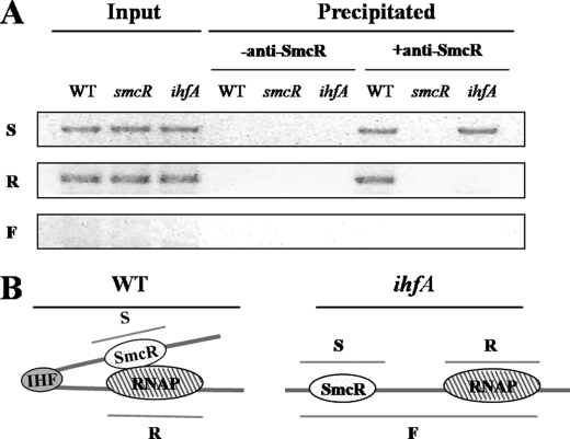 FIGURE 9.