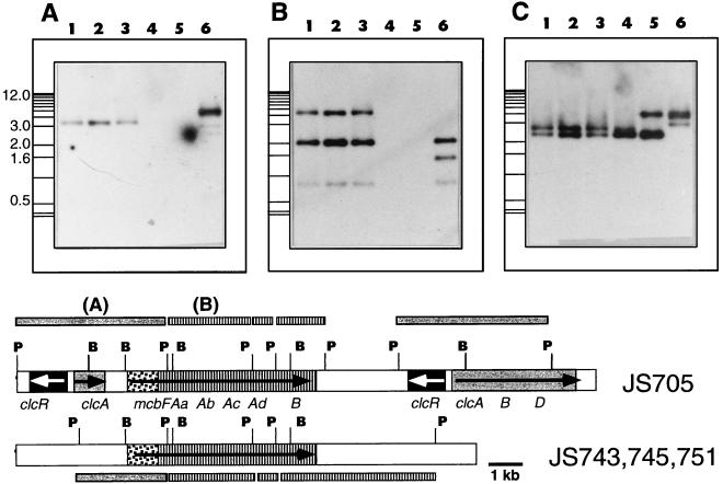 FIG. 6