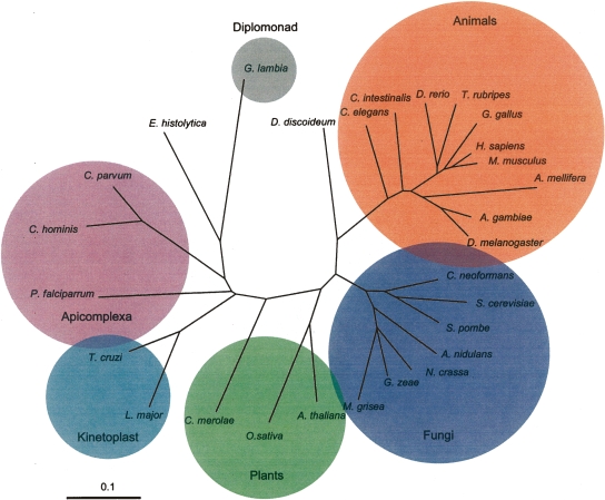 Figure 5.