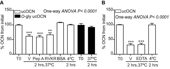 Figure 3—figure supplement 3.