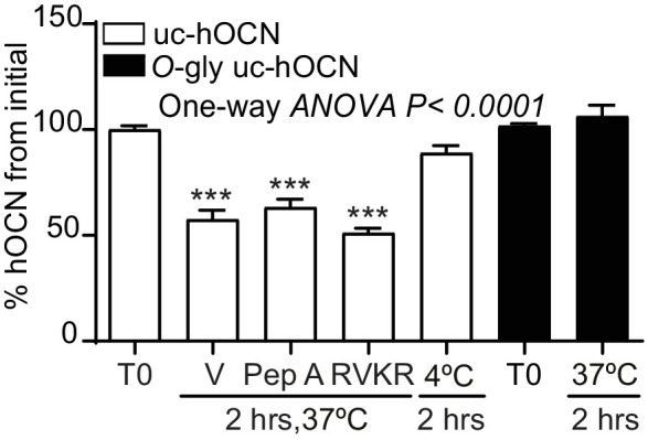 Figure 5—figure supplement 3.