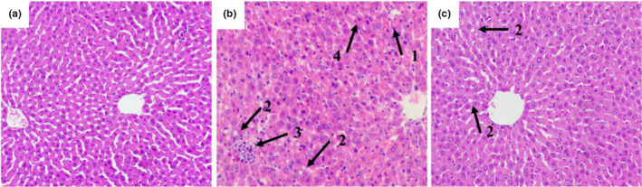 FIGURE 3