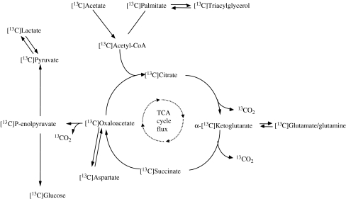 Fig. 1