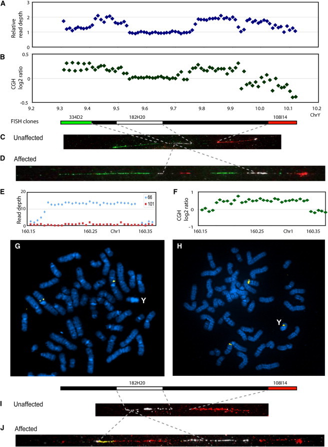 Figure 2