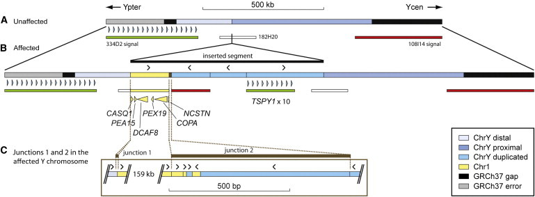 Figure 3