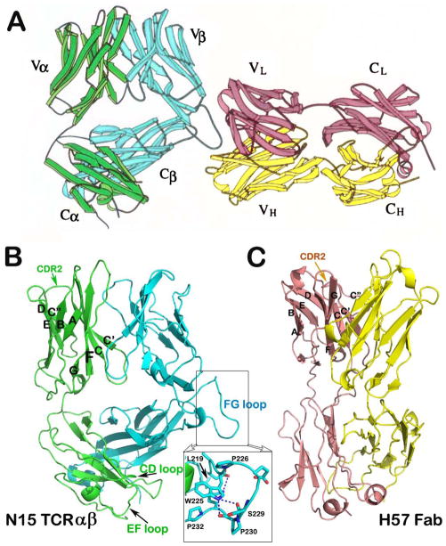 Fig. 1