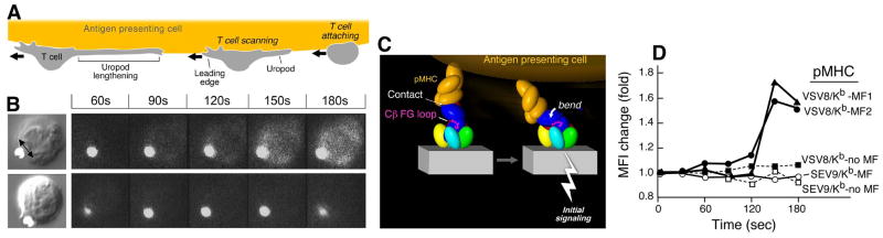 Fig. 10