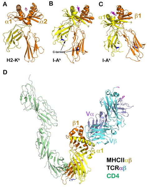 Fig. 12