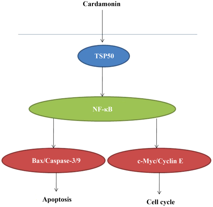 Figure 7.